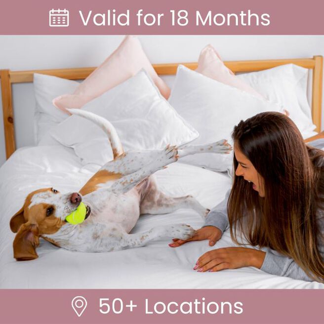 Dog Friendly Hotel Stay Gift Experience Day