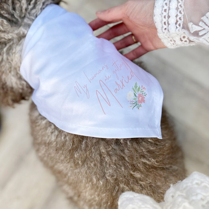 Personalised Dog Bandana - Wedding