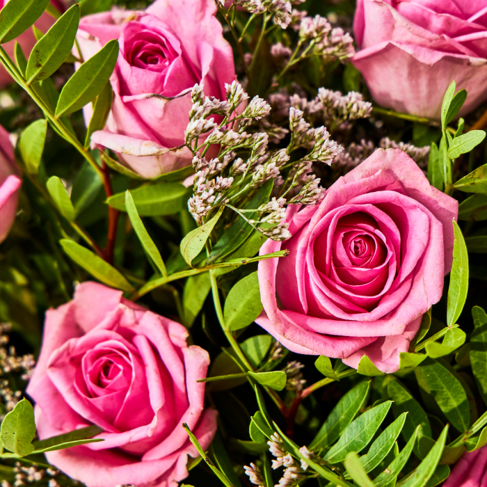 Pink Dozen Roses Flower Bouquet - FREE DELIVERY