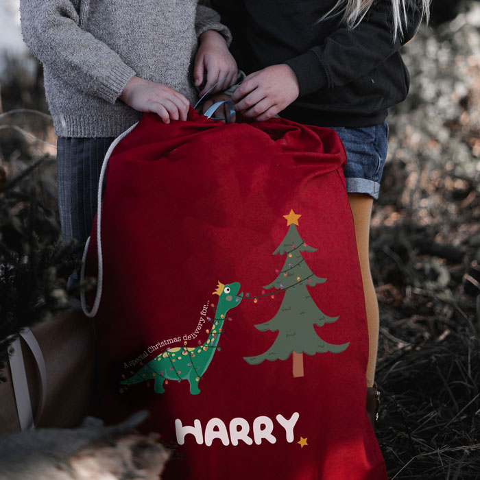 Personalised Dinosaur Scene Sack