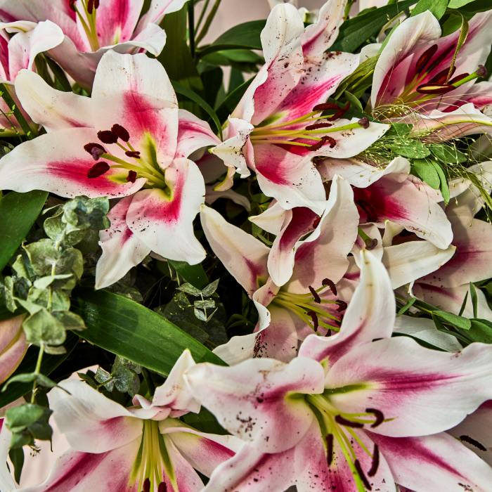 Lilyana Hand-Tied Bouquet - FREE DELIVERY