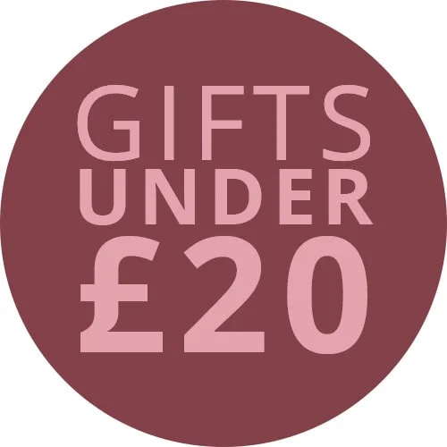 valentines gifts under 20